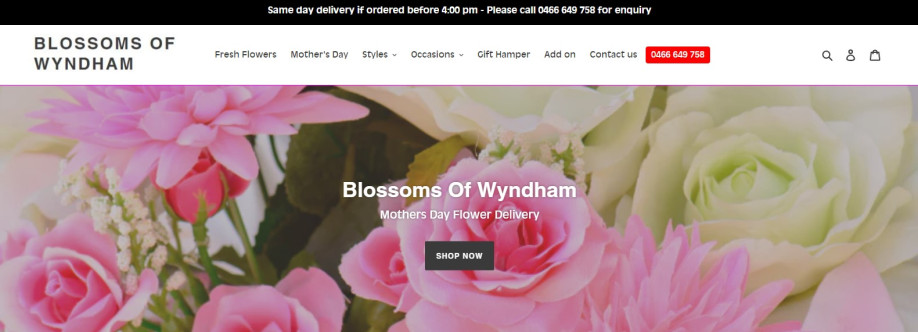 Blossom of Wyndham Cover Image